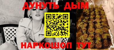 не бодяженный Кингисепп