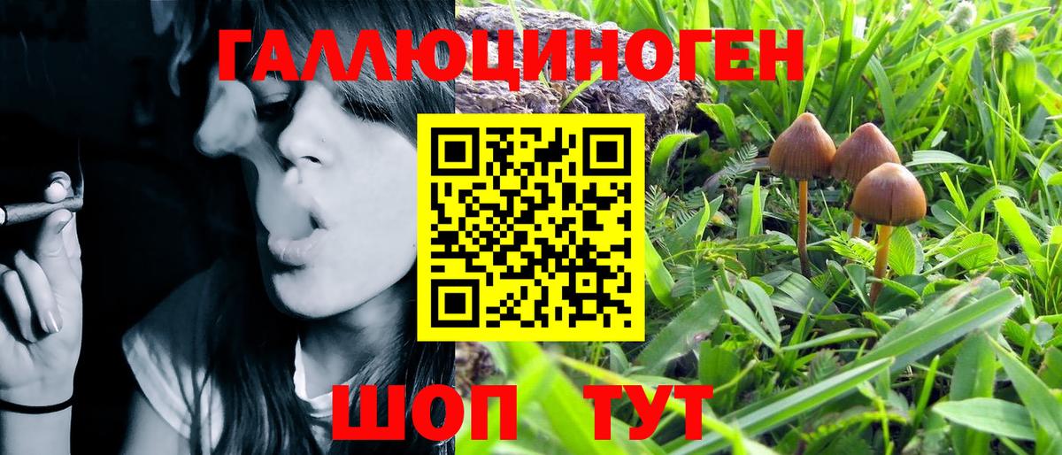 Псилоцибиновые грибы Magic Shrooms Бутурлиновка